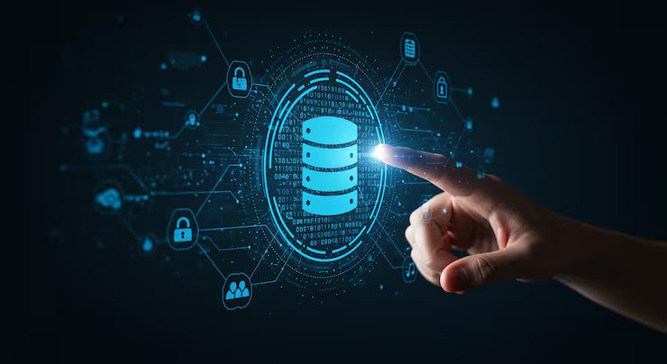 Database Developer
